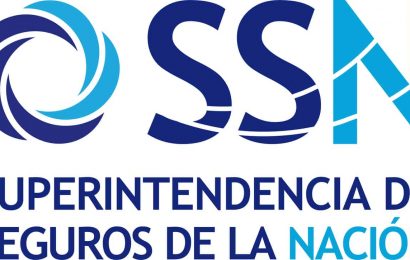 SSN: servicio de los sistemas informáticos del organismo